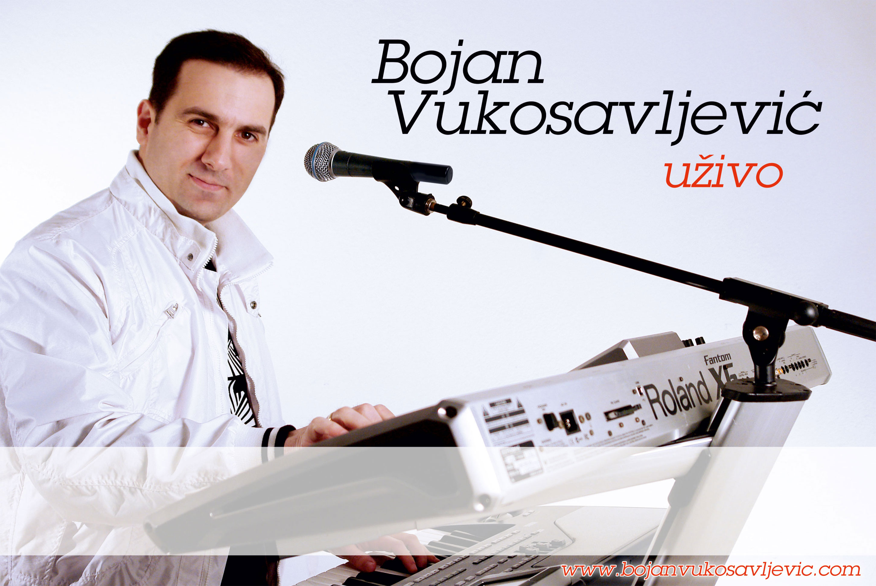Bojan Vukosavljević - Galerija